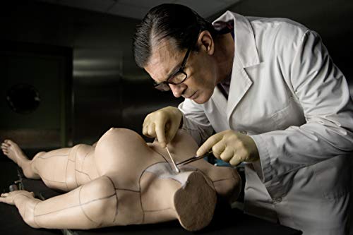 Pedro Almodovar: Die große Edition (1983-2016) [Alemania] [DVD]