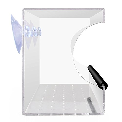 PEDY - Comedero Grande para pájaros con 3 ventosas y Bandeja extraíble, acrílico Transparente