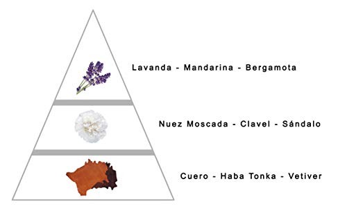 Perfume de Hombre GREENWICH by LAROME (1M) 100 ml