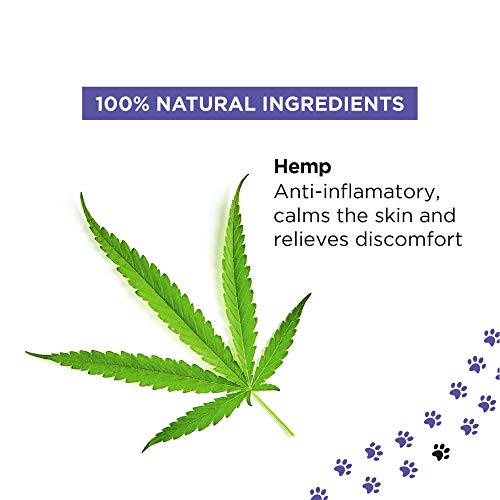 PETUCHI Spray Anti-Picores Bio para Perros; Piel Sensible; con Cáñamo y Avena; 150ml