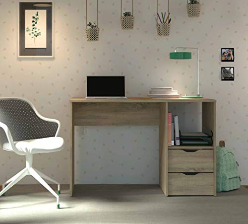Pitarch Mesa Escritorio EKO 2 cajones 1 Hueco Color Cambrian Oficina despacho Estilo Moderno 76x115x50 cm