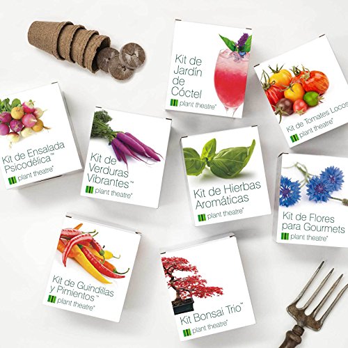 Plant Theatre Kit Bonsai Trio - 3 árboles de Bonsai distintivos para crecer.