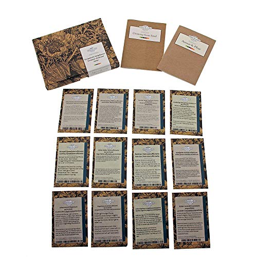 'Plantas medicinales centroeuropeas' set de semillas de regalo con 12 hierbas tradicionales
