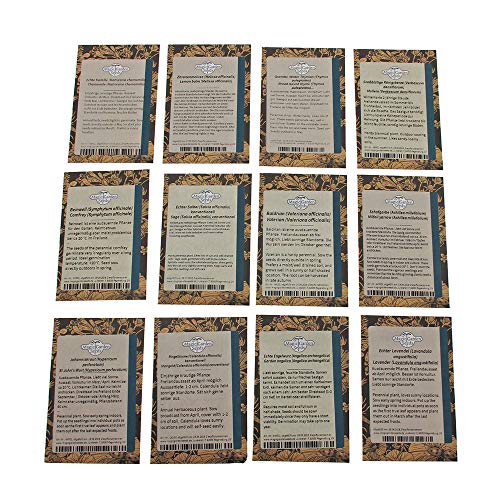 'Plantas medicinales centroeuropeas' set de semillas de regalo con 12 hierbas tradicionales