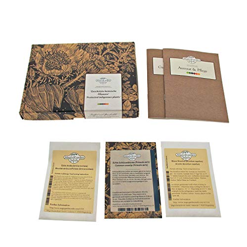 Plantas protegidas - kit regalo de semillas con 3 especies de flores silvestres amenazadas de extinción