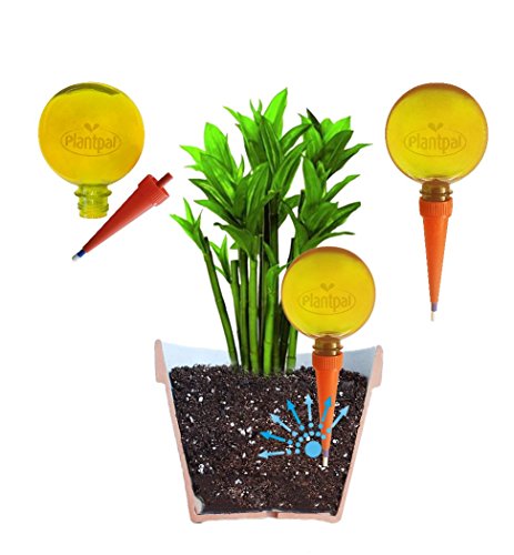 Plantpal Lote de 2 globos de riego grandes Nueva visión clara del nivel de agua en colores claros. Regadera para plantas de vacaciones y uso diario.