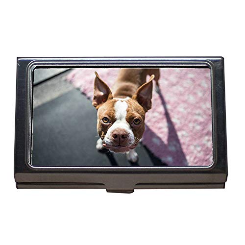 Portatarjetas del nombre comercial, Boston Terrier Pup Boston Puppy Small Face Young, Estuche para tarjetas de visita de acero inoxidable