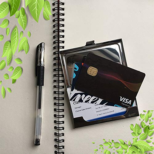 Portatarjetas del nombre comercial, Boston Terrier Pup Boston Puppy Small Face Young, Estuche para tarjetas de visita de acero inoxidable