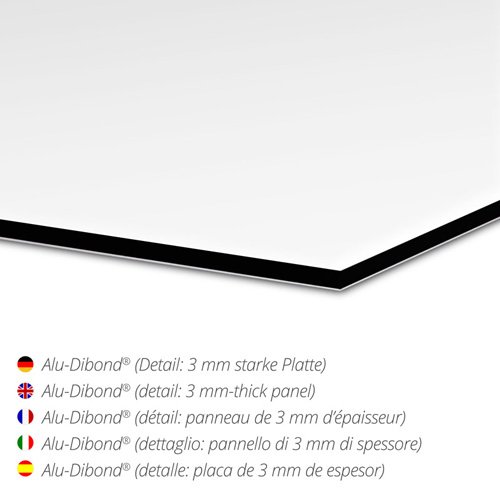 Posterlounge Cuadro de Aluminio 100 x 70 cm: Mandarin Duck Against Red de Editors Choice