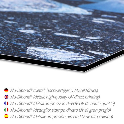 Posterlounge Cuadro de Aluminio 60 x 80 cm: Real Chamomile, Medicinal Plant de Herbert Kehrer/Mauritius Images