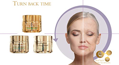 PQQ NMN NAD+ CoQ10 Vitamin B5 B6 B7 B9 & B12 Betaine TMG Piperine - MAXIMUM ENERGY - Reduce Fatigue, Tiredness & Exhaustion - IMMUNE SUPPORT - Thera Stem Cell (ENERGISE I)