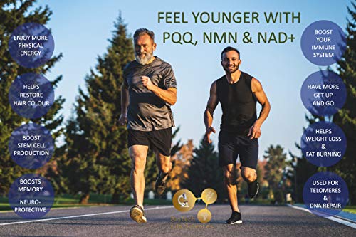 PQQ NMN NAD+ CoQ10 Vitamin B5 B6 B7 B9 & B12 Betaine TMG Piperine - MAXIMUM ENERGY - Reduce Fatigue, Tiredness & Exhaustion - IMMUNE SUPPORT - Thera Stem Cell (ENERGISE I)