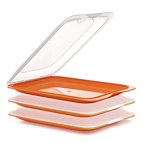 PracticFood - Lote de 3 Porta Embutidos y Alimentos Sistema FRESH, Conservación Optima de Lonchas en Nevera, Color Naranja, Medidas 17 x 3.2 x 25.2 cm