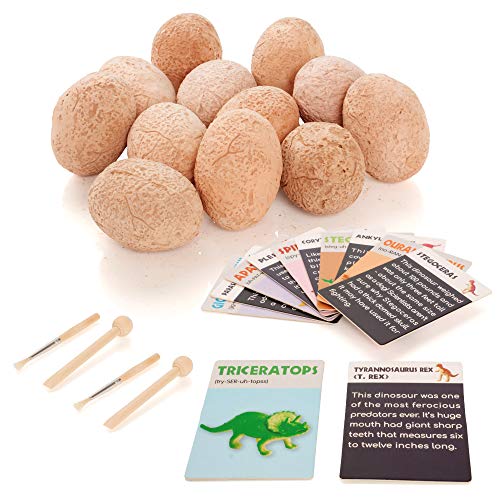 Prehistoric World - Juguete de dinosaurios - Kit de excavación de huevos de dinosaurio - Incluye 12 huevos y figuras + 12 tarjetas educativas de bonificación