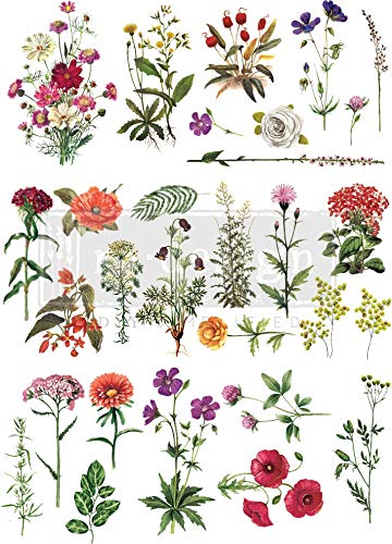 Prima Marketing Inc Redesign - Colección de flores (55,9 x 81,3 cm)