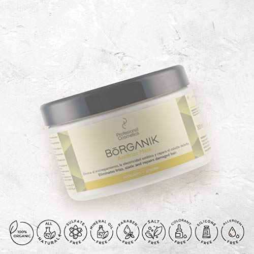 Profesional Cosmetics Borganik Anti Frizz Mask - Mascarilla con Extractos Orgánicos y Naturales, Pack de 1-300 ml