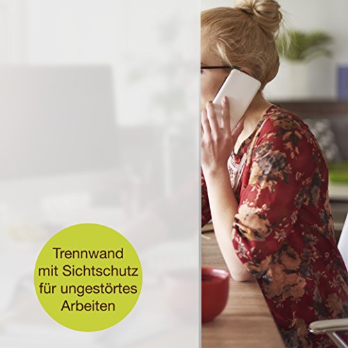 ProfessionalTree Vinilo Cristal Ventana Autoadhesivo – Pegatina Película Efecto Traslúcido Mate para Proteger tu Privacidad - Incluye alisador - Medida 90x200 cm (1 rollo)