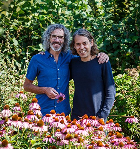 Pukka - Three Ginger Tea - 36g