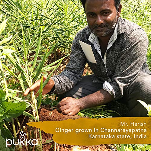 Pukka - Three Ginger Tea - 36g