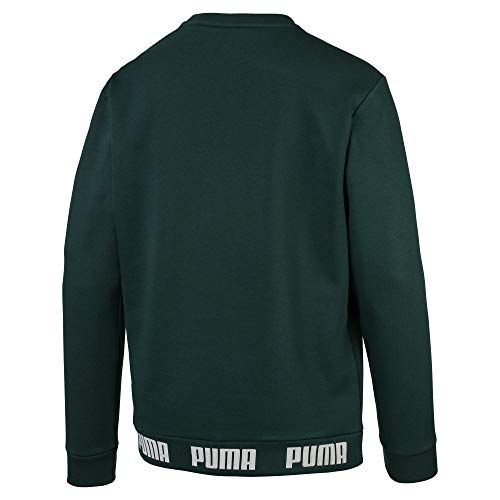 PUMA Amplified Crew, Hombre, 854657-30, Verde oscuro - Blanco, extra-large