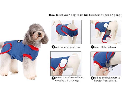 Pup-Town Traje de recuperación para mascotas, perros, gatos después de la cirugía, vendajes alternativos E-Collars, anti-lamer para postoperatorio