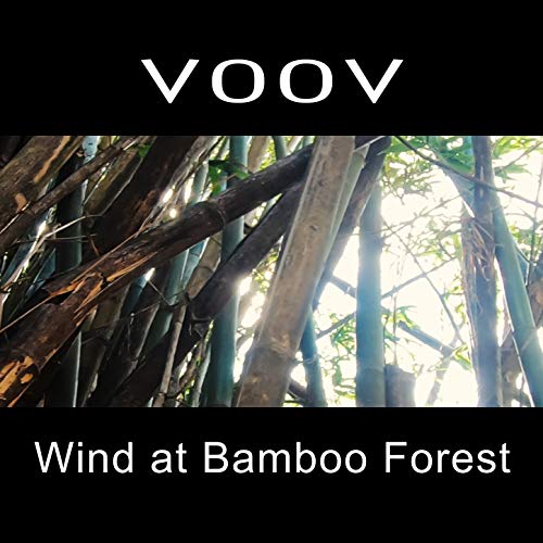 Pure Bamboo Wind