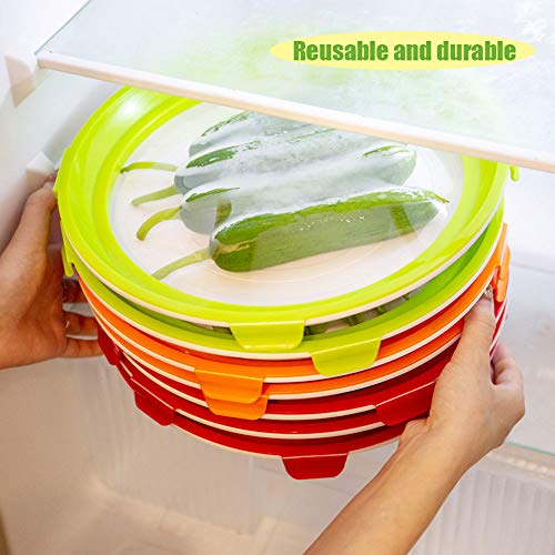 QWCZY Bandeja De Conservación De Alimentos Creativa, Bandejas De Alimentos Creativos Recipientes De Sellado Al Vacío con Tapas - Plástico Reutilizable - Libre De BPA - Refrigerador De Almacenamiento