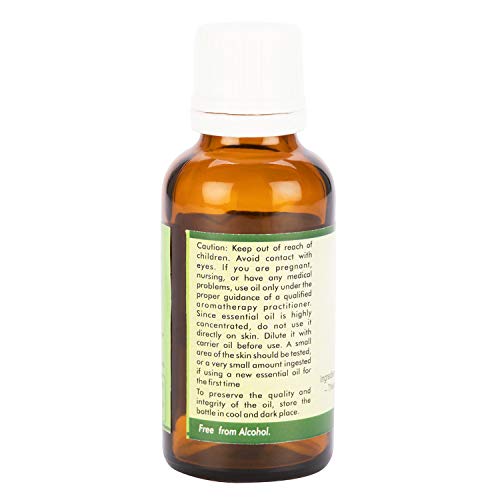 R V Essential Aceite Esencial de Labdanum Puro 30ml (1.01oz)- Cistus Ladaniferus (100% puro y vapor natural destilado) Pure Labdanum Essential Oil