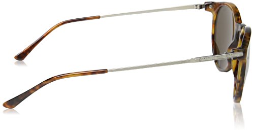Ralph Lauren POLO 0PH4096 Gafas de sol, Jerry Tortoise, 50 para Mujer