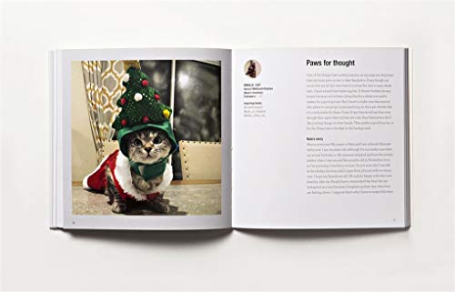 Read This if You Want to Be Instagram Famous: 50 Secrets by 50 of the Best: (tips on Photographic Techniques, Captioning, Codes of Conduct, Kit and Managing Your Account)