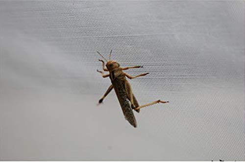 Red antipájaros Red de protección contra Insectos Jardín Vegetal Planta de protección Red de Crecimiento Túnel Malla Fina para Verduras Plantas Frutas (espesar3x5m)