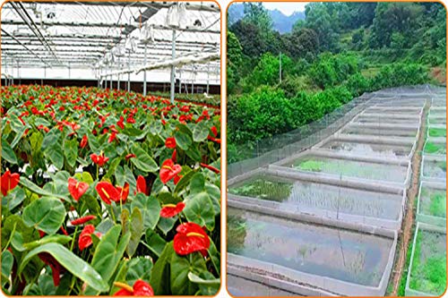 Red antipájaros Red de protección contra Insectos Jardín Vegetal Planta de protección Red de Crecimiento Túnel Malla Fina para Verduras Plantas Frutas (espesar3x5m)