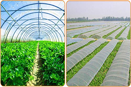 Red antipájaros Red de protección contra Insectos Jardín Vegetal Planta de protección Red de Crecimiento Túnel Malla Fina para Verduras Plantas Frutas (espesar3x5m)