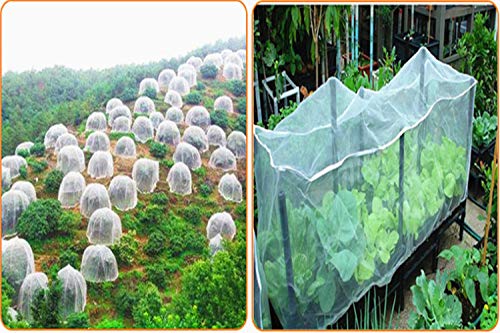Red antipájaros Red de protección contra Insectos Jardín Vegetal Planta de protección Red de Crecimiento Túnel Malla Fina para Verduras Plantas Frutas (espesar3x5m)