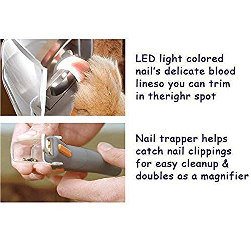 Regalo Cortauñas for mascotas, clavo del LED belleza Instrumento eléctrico perro Molino de seguridad for protección contra los Clippers for evitar el exceso de corte cortauñas for gatos for perros y g