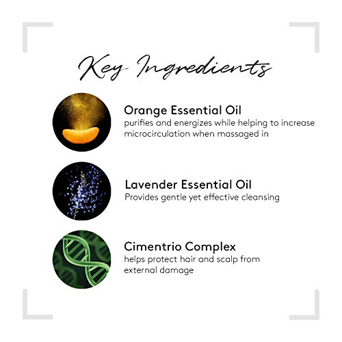 RENE FURTERER TONUCIA CHAMPU VIGOR REDENSIFICANTE 50 ML