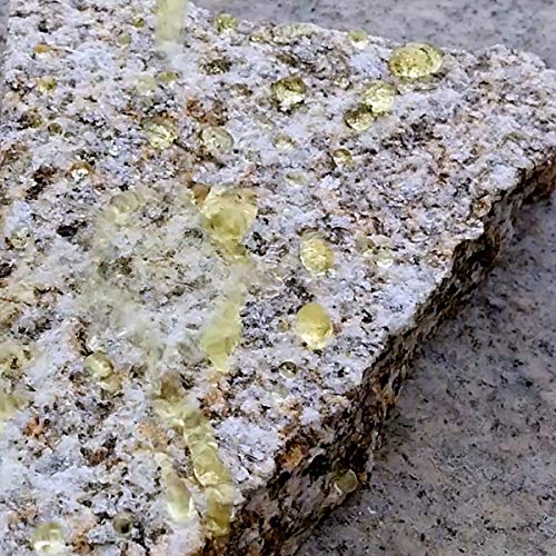 Repelente de Orina ECO larga duración, repelente de orina de perros y personas - 1 Ltr