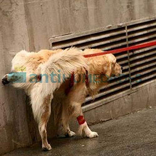 Repelente de Orines ECO para fachadas, suelos y otras superficies (1 litro)