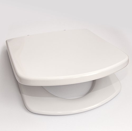 Roca A801511004 Dama Senso - Asiento de repuesto para inodoro, Blanco