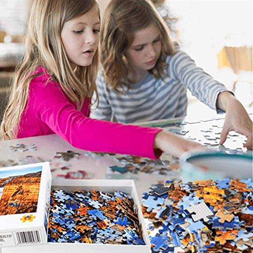 Rompecabezas Adultos 1000 Piezas Puzzles Encajables - 700mm x 500mm - (Ocupado Puerto en Venecia)