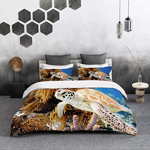 ropa de cama - Juego de funda nórdica, primer plano de tortuga, arrecife de coral y tortuga marina Foto Bonaire Island Waters Maritime, amarillo azul oscuro, juego de funda nórdica de microfibra con 2