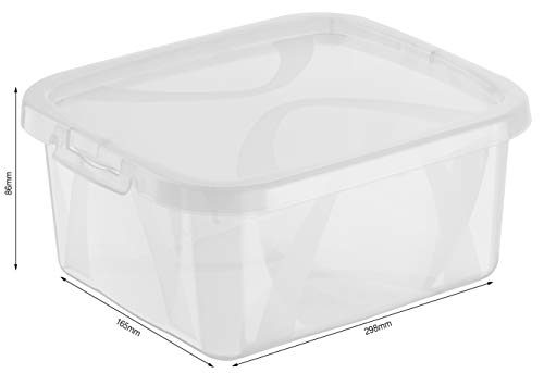 Rotho Arco, Juego de 8 cajas de almacenamiento de 2 litros con tapa, Plástico PP sin BPA, transparente, 8 x 2l 20.0 x 16.0 x 26.0 cm