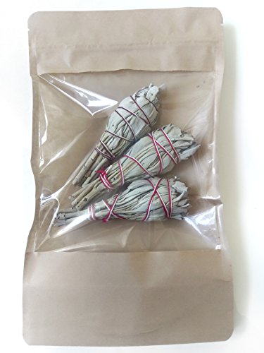 SALVIA BLANCA, 3 Manojos ~11cm, de California, White Sage