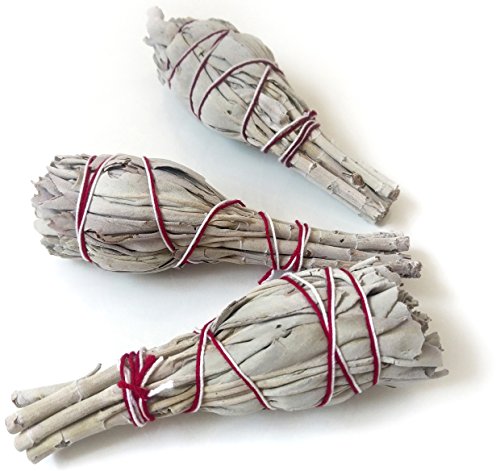 SALVIA BLANCA, 3 Manojos ~11cm, de California, White Sage