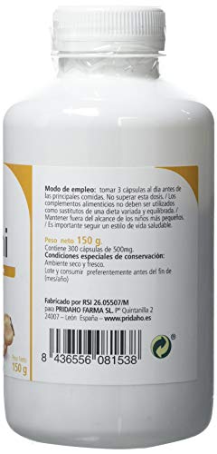 SANON - SANON Reishi 300 cápsulas 500 mg