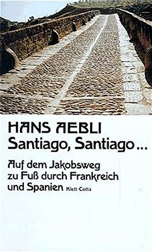 Santiago Santiago...: Auf dem Jakobsweg zu Fuß durch Frankreich und Spanien