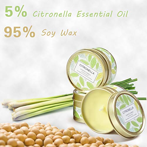 SCENTORINI Velas de Citronela en Lata Antimosquitos Ceras de Hierba con Aroma de limón, 100% de Cera de Soja Aire Libre 95g 15h x 6