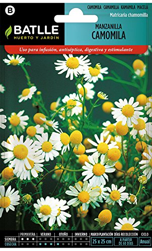 Semillas Aromáticas - Manzanilla-Camomila - Batlle