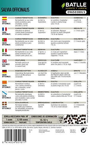 Semillas Aromáticas - Salvia officinalis - Batlle