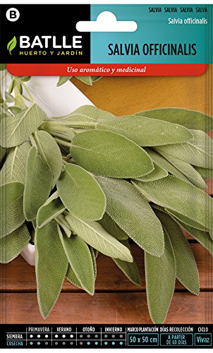 Semillas Aromáticas - Salvia officinalis - Batlle